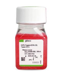 胰酶細(xì)胞消化液（0.25%胰酶，含EDTA，含酚紅）Gibco